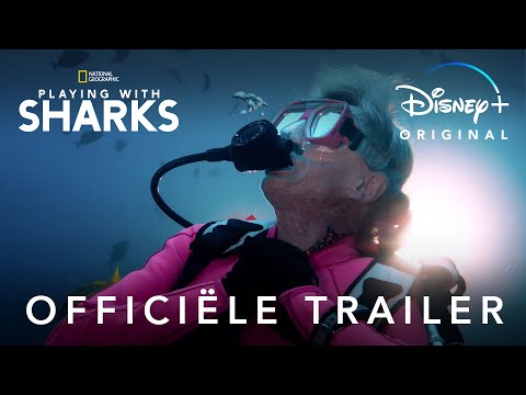 Playing with Sharks'