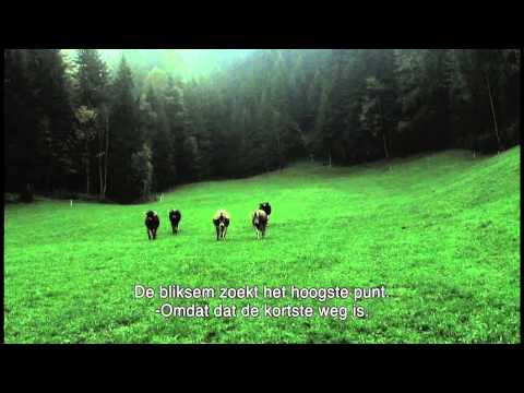 Die Kinder vom Napf'