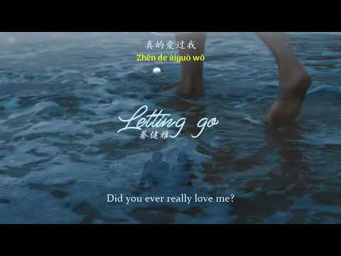 [ENGSUB/PINYIN] Letting go - 蔡健雅 (Tanya Chua)