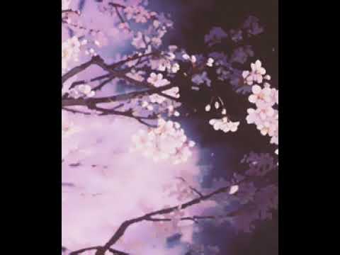 Pashanim - junge ceos ( slowed + reverb )