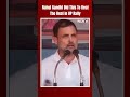 Lok Sabha Elections 2024 | Its Too Hot: Rahul Gandhi Pours Water Over His Head At UP Poll Rally  - 00:14 min - News - Video