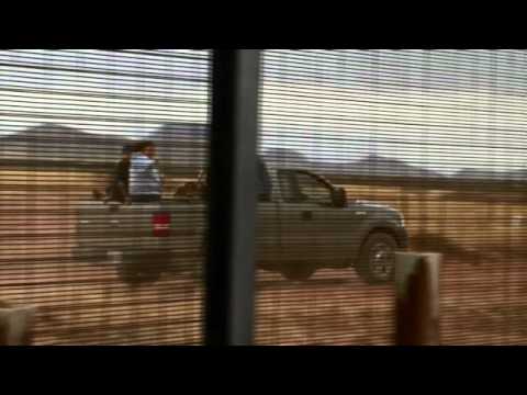 The Fence'