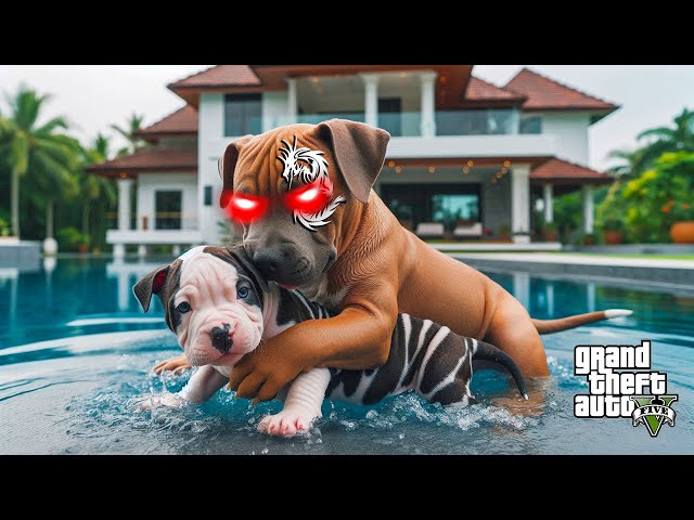 YAVRU PİTBULL AKREP VE VENOM DÖVÜŞÜYOR! - GTA 5 PİTBULL'UN HAYATI