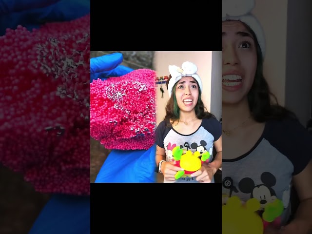 PASTA DE DENTE AZUL -RAIZ QUADRADA DE MATEMÁTICA #comedia #humor