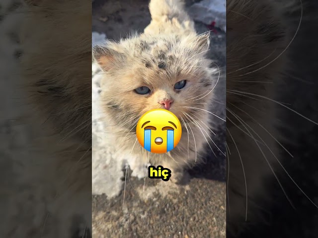 Bu Çocuk Arkadaşını Havaya Uçurdu! 😳💥