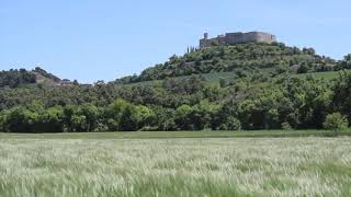 Els mars d'ordis de la Segarra