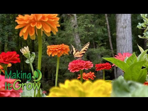 screenshot of youtube video titled Crooked Cedar Farm | Making It Grow