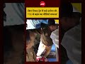 Viral Video : बिना टिकट ट्रेन में चढ़े दारोगा जी,TTE से बहस का वीडियो वायरल! #shorts #trending
