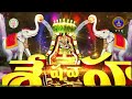 శ్రీ పద్మావతి అమ్మవారి కార్తిక బ్రహ్మోత్సవాలు - పెద్దశేష వాహనం || నవంబర్ 11 వ తేది ఉదయం 8 గంటలకు  - 00:50 min - News - Video