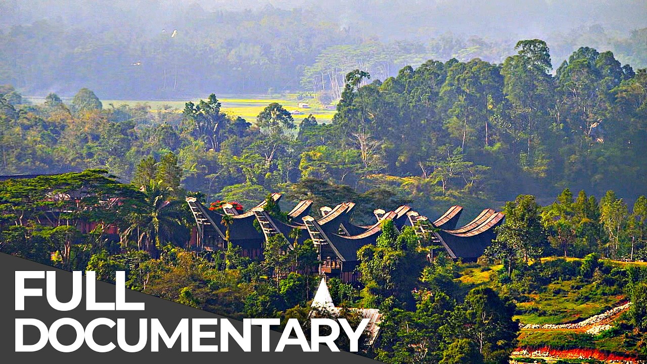 Houses of the Dead | Habitats of the World: Indonesia | Free Documentary