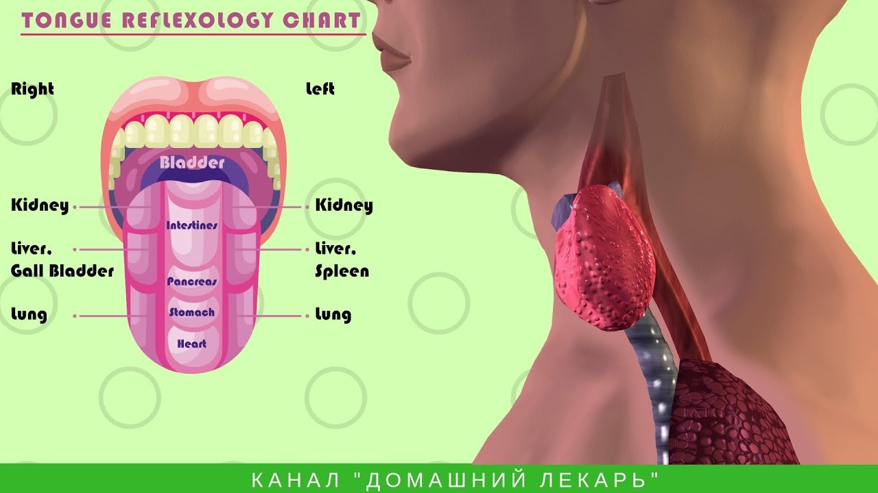 Как определить по языку болезнь внутренних органов у человека фото описание