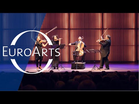 Artemis: The Neverending Quartet'
