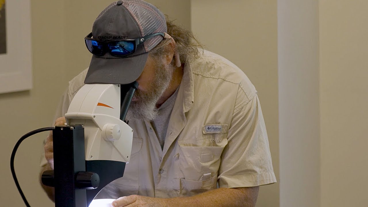Video 5: Collecting Thrips Samples — Part 2