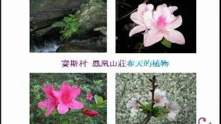 縮圖