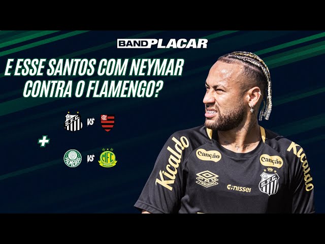 SANTOS X FLAMENGO E PALMEIRAS X MIRASSOL - ANÁLISE E MELHORES ODDS I BANDPLACAR