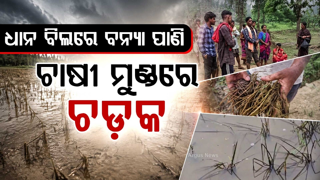 Odisha Flood Aftermath | Crop Loss and Damaged Homes as Water Recedes | Argus News
