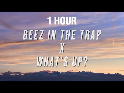 [1 HOUR] Nicki Minaj, 4 Non Blondes - Beez In The Trap X What’s Up? (TikTok Mashup) [Lyrics]