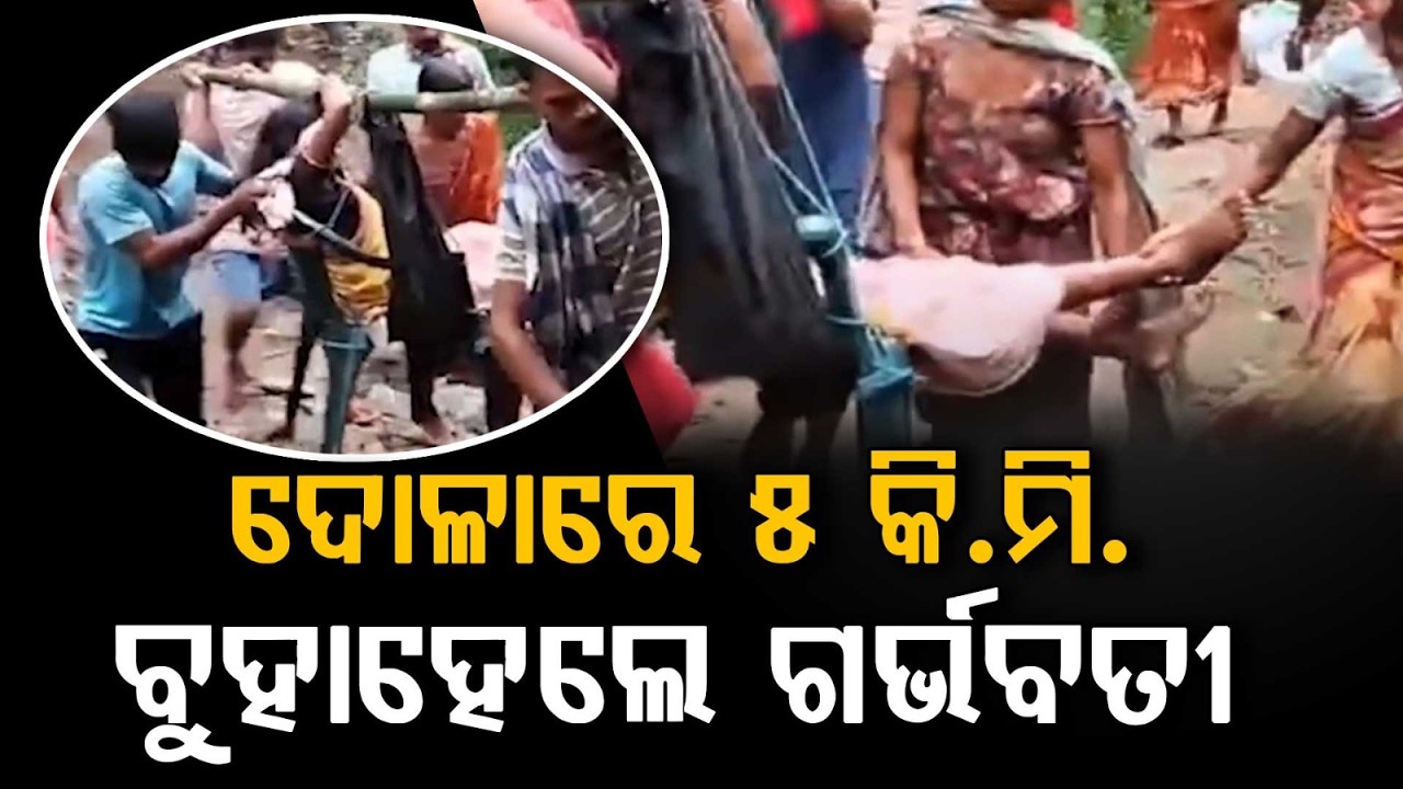 ଦୋଳାରେ ୫ କି.ମି. ବୁହାହେଲେ ଗର୍ଭବତୀ | Pregnant Woman Carried on Sling For 5 KM In Gajapati | Argus News