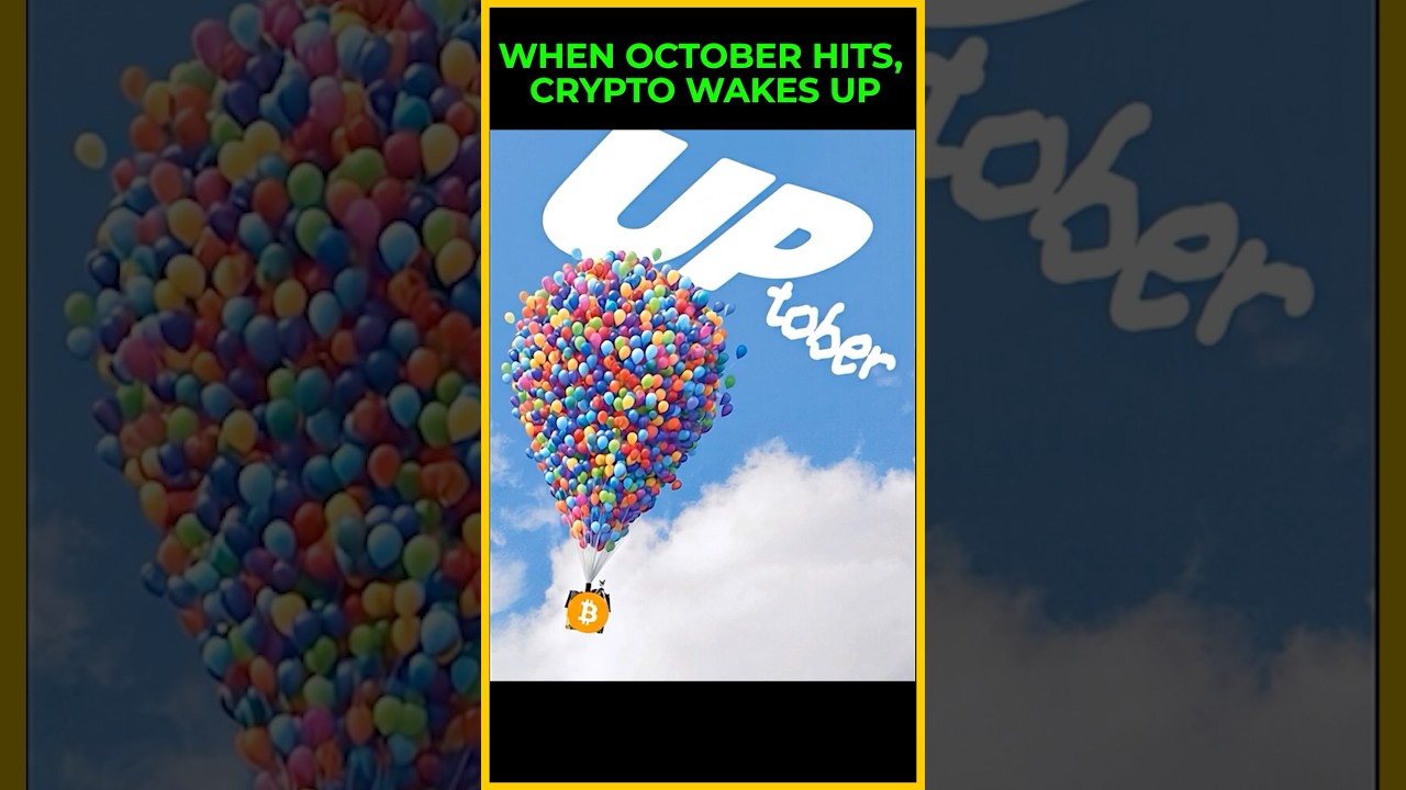 When October hits for Crypto 😂 shorts