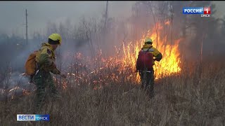 «Авиалесоохрана» будет бороться с лесными пожарами в Омской области