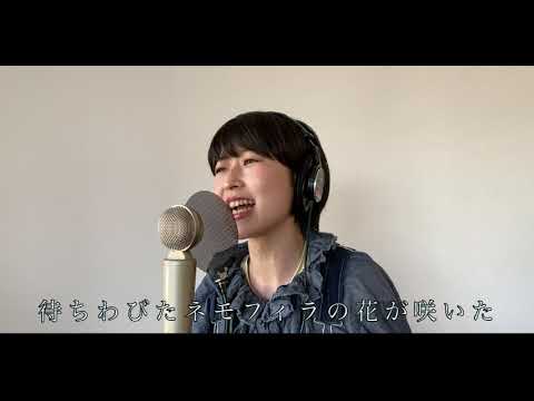 コアラモード.『ネモフィラ 』STUDIO ACT