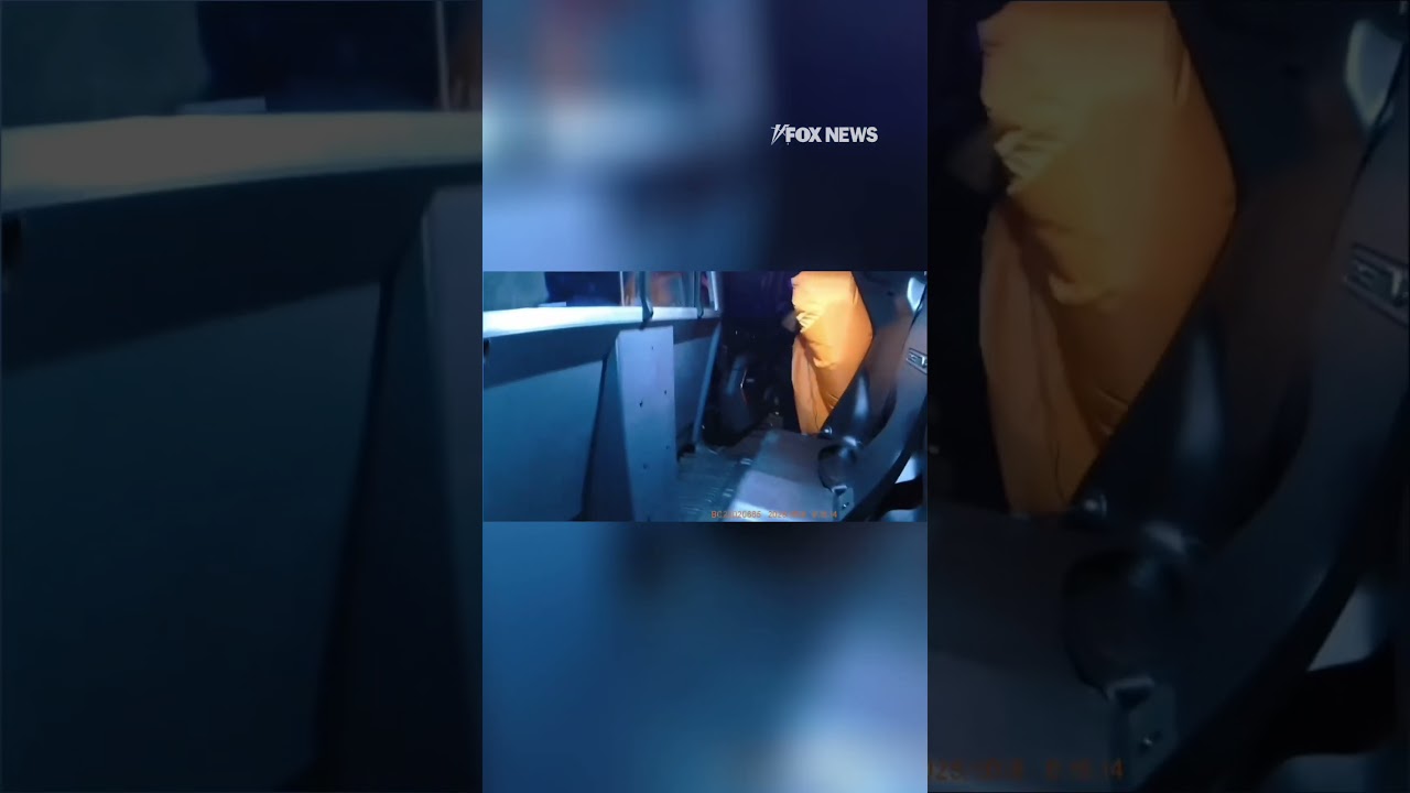 CAUGHT ON CAM: Runaway inflatable pumpkin wrangled by police #shorts #usa #news #new #viral