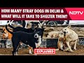 Stray Dogs | Explained: How Many Stray Dogs Are In Delhi And What Will It Take To Shelter Them?
