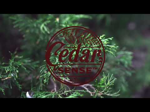 Wood Cedar Candle | Cedar-sense.com