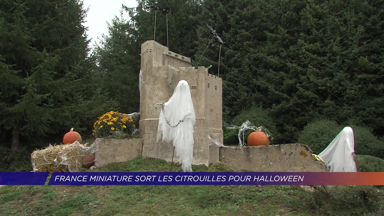Yvelines | France Miniature sort les citrouilles pour Halloween