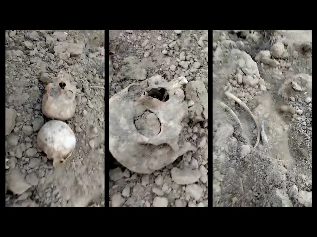 Черепа и кости: массовые захоронения нашли в Чечне и Дагестане