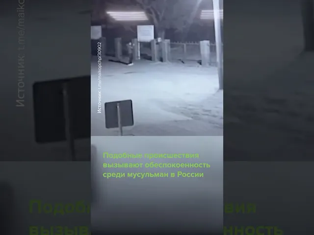 Свиную голову подкинули к мечети в Адыгее #Shorts #провокация #мечеть #Россия