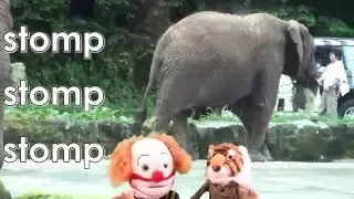 缩略图