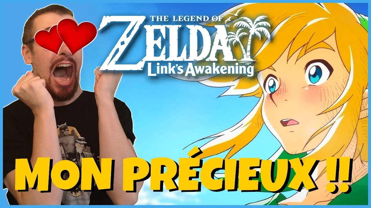 Vido-Test de The Legend of Zelda Link's Awakening par Bibi300